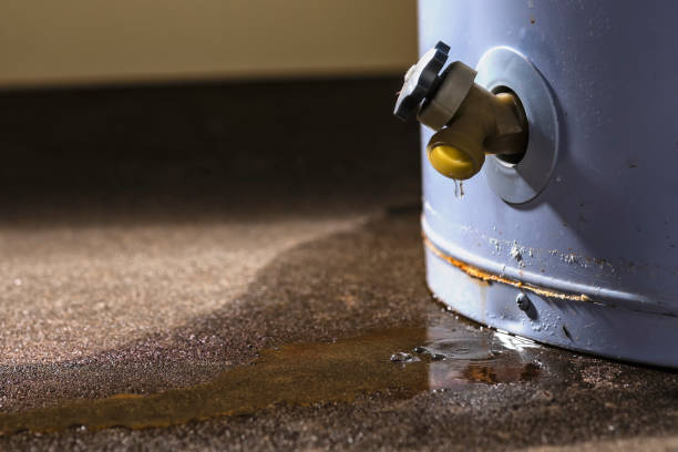 Best 24-hour water damage restoration  in , IA
