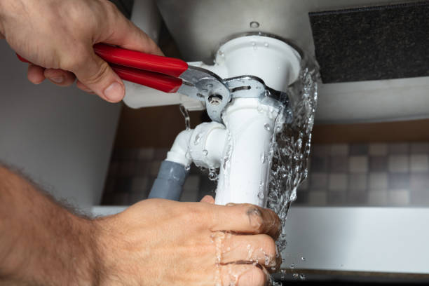 Best Fire Damage Restoration  in , IA