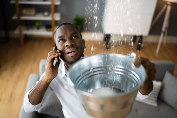 Best Water damage restoration near me  in , IA