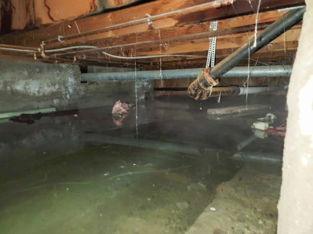 Best Commercial water damage restoration  in , IA