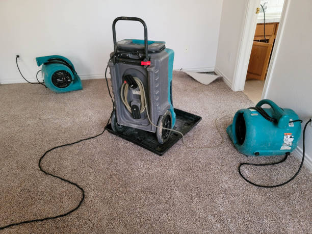 Best Local water damage restoration  in , IA
