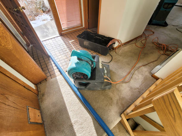 Best Residential water damage restoration  in , IA