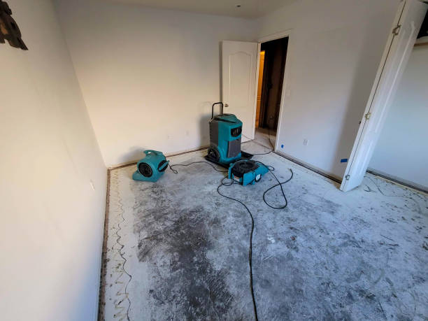 Best Fire Damage Restoration  in , IA