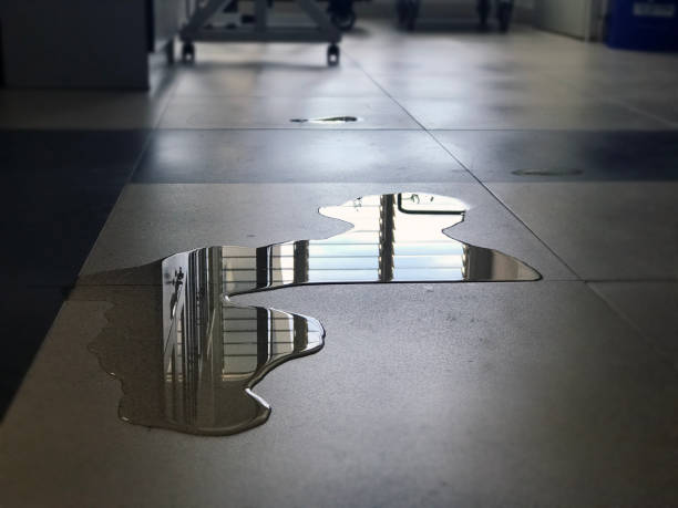 Best Commercial water damage restoration  in , IA