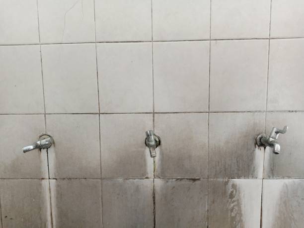 Best Water damage contractors near me  in , IA
