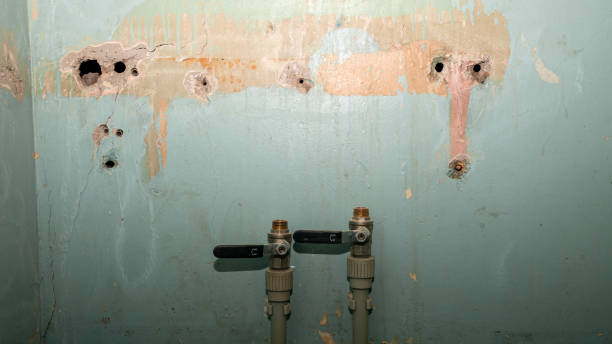 Best Basement water damage restoration  in , IA