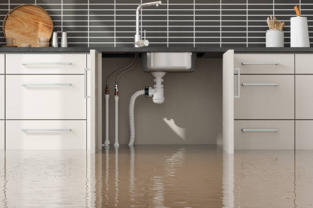 Best Water damage restoration services  in , IA