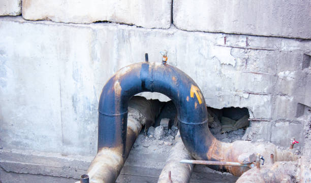 Best Water damage repair service  in , IA