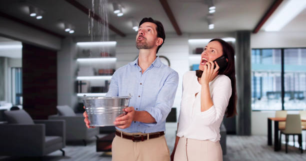 Best Carpet water damage restoration  in , IA