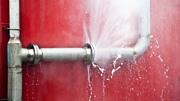 Best Flood restoration services  in , IA
