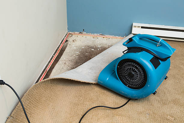 Best Water damage restoration near me  in , IA