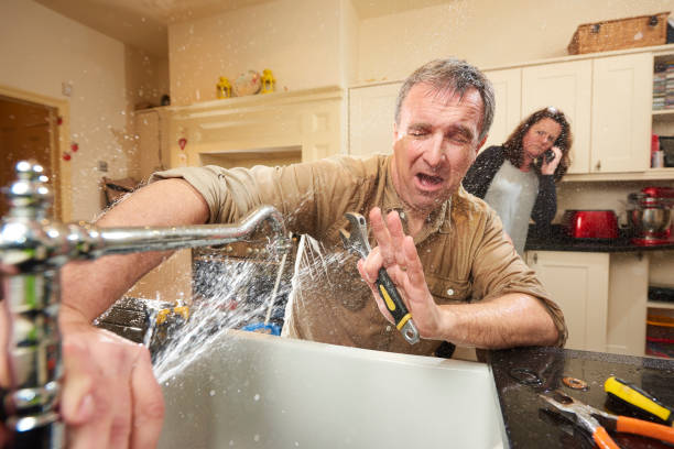 Best Carpet water damage restoration  in , IA